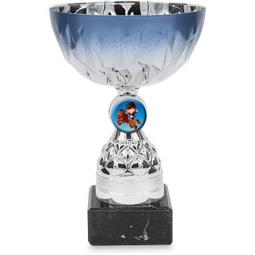 Copa portadiscos 