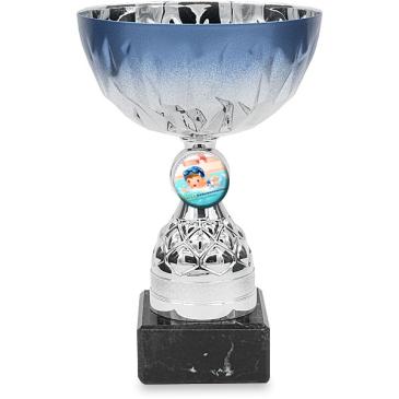 Copa portadiscos 