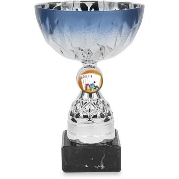 Copa portadiscos 