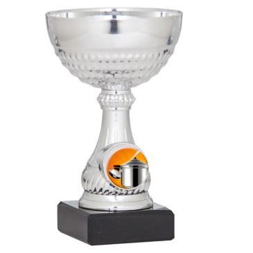 Copa portadiscos plateada