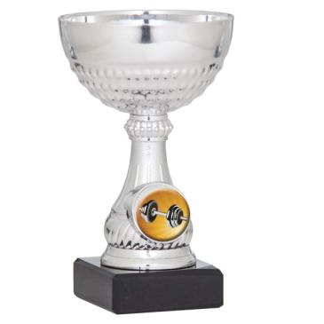 Copa portadiscos plateada