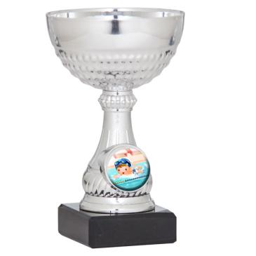 Copa portadiscos plateada