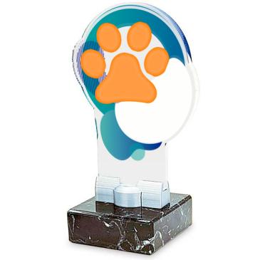 Trofeo de participación de metacrilato 