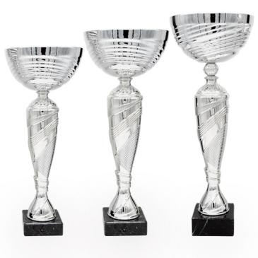 Copa plateada vaso y centro de rayas