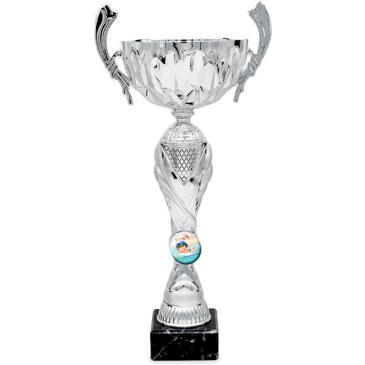 Copa plateada portadiscos vaso asas