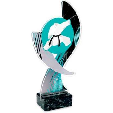 Trofeo artes marciales nova