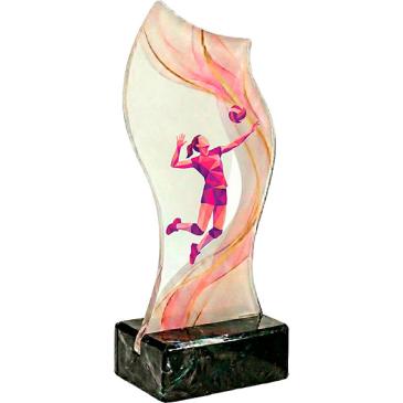 Trofeo voley Rosa