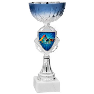 Copa bicolor plata y azul