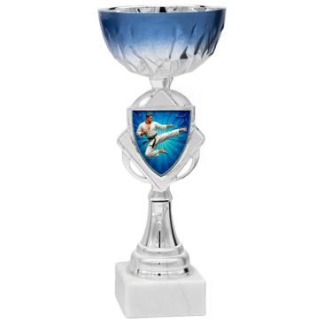 Copa bicolor plata y azul