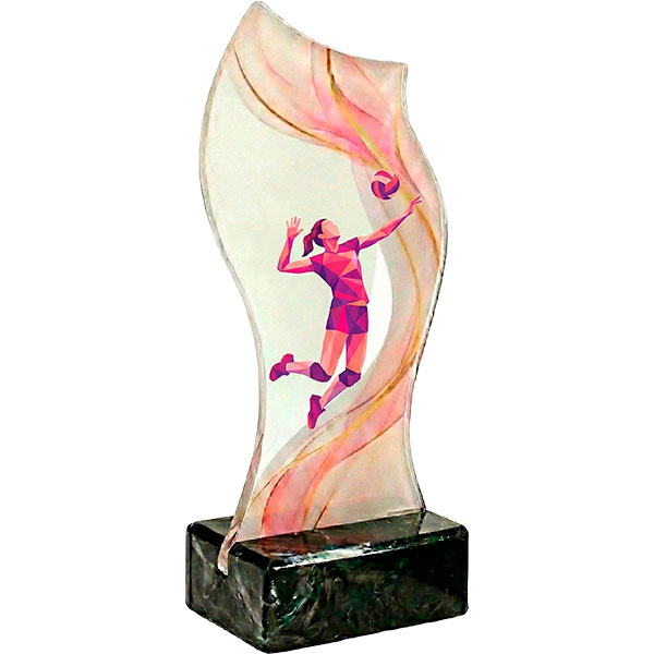 Trofeo voley Rosa
