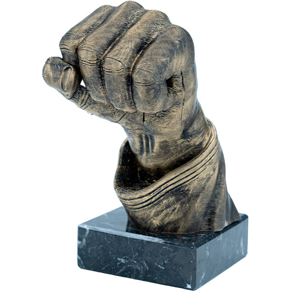 Trofeo puño artes marciales